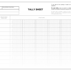 Tally Sheets for 10 Candidates. Municipal World Item 1246