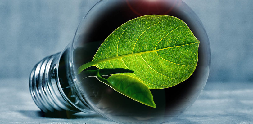 Shining the light on green savings
