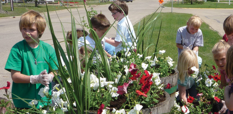 Communities in bloom