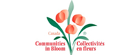 Communities in Bloom 2019 National-International Results