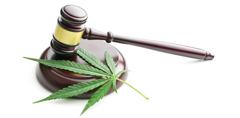 CannabisLegalization