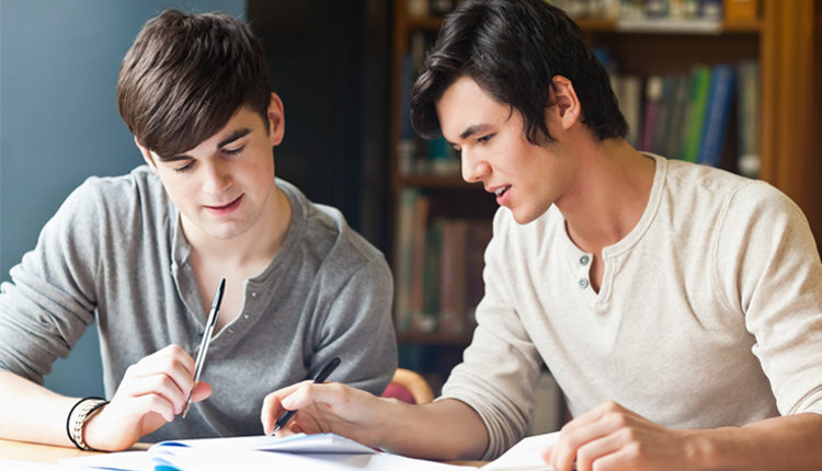 Handsome student working on an essay