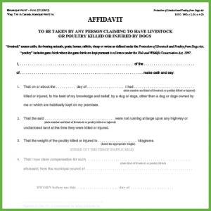Item 0227 - Affidavit to be taken by any person claiming