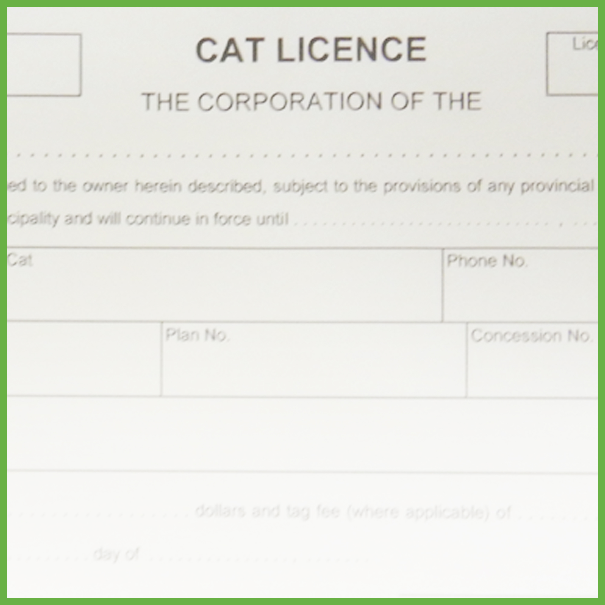 Item 0235 - Cat licence receipt book Item 0235 - Cat licence receipt book