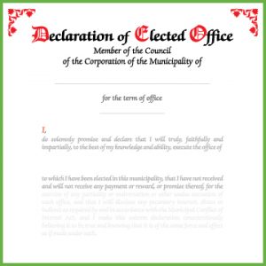 Item 0812 - Declaration of office - individual member council