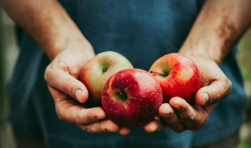 Farmer with apples