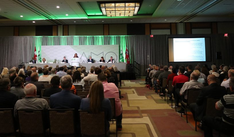 AMO 2018 closing session tackles cannabis