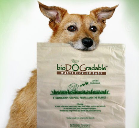 biodogradable