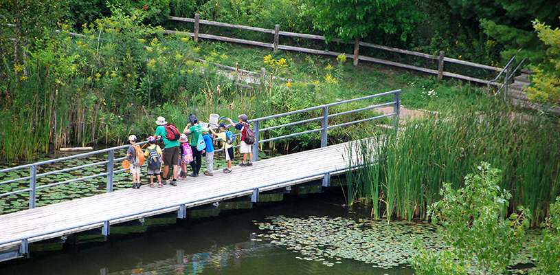 Prioritizing green spaces