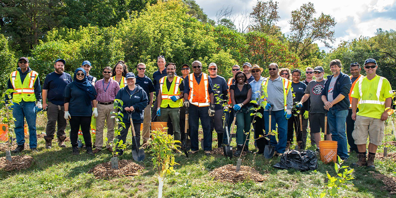 Becoming a Green City