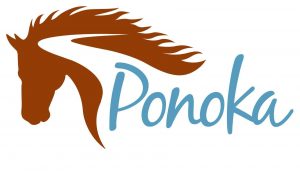 New hardship grant for Ponoka businesses impacted by COVID-19