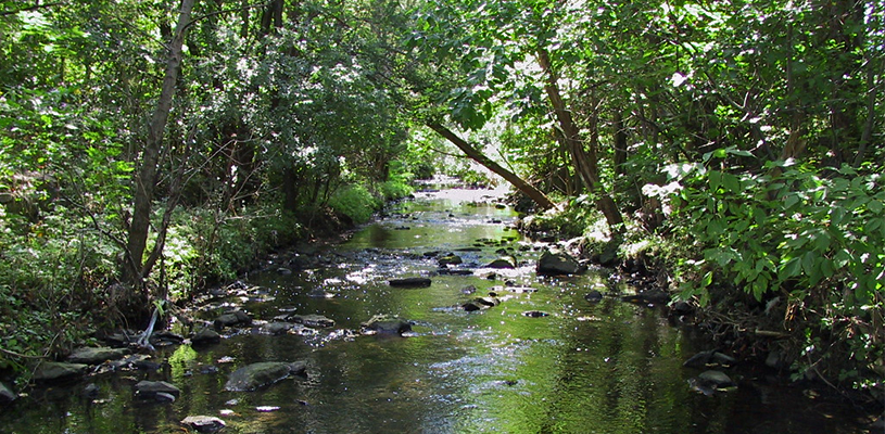 Insights from today’s stormwater management approach