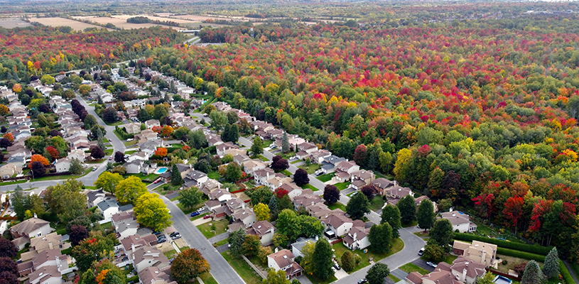 Managing urban forests and green spaces in post-pandemic Canadian municipalities