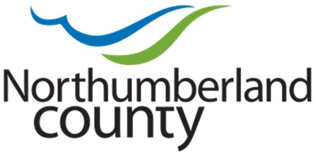 Feasibility and Options Review and Recommendations for a Shelter System