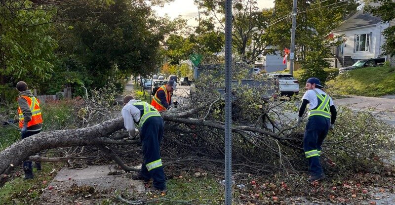 National strategy invests in municipal resiliency