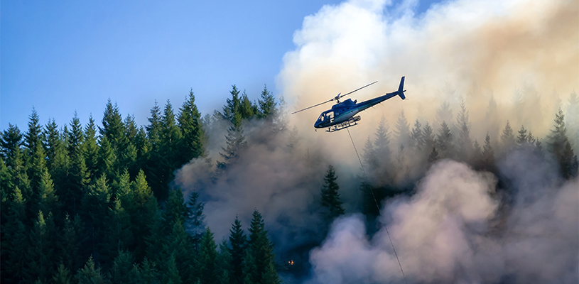 Emergency Preparedness - Wildfires, climate change, and resilience