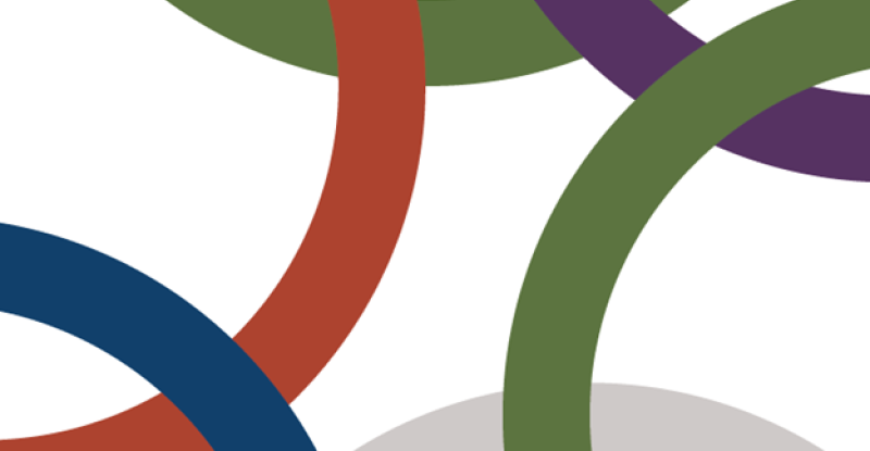 Practitioner Guide on Crime Prevention and Community Safety & Well-Being Planning