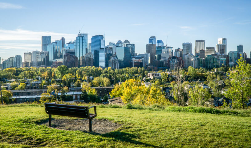 Summer,Morning,In,Calgary,Downtown,With,Bench,In,Foreground