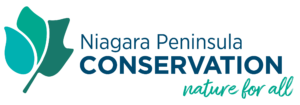 Niagara Peninsula Conservation Authority