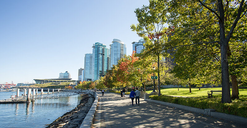 City parks need more funding