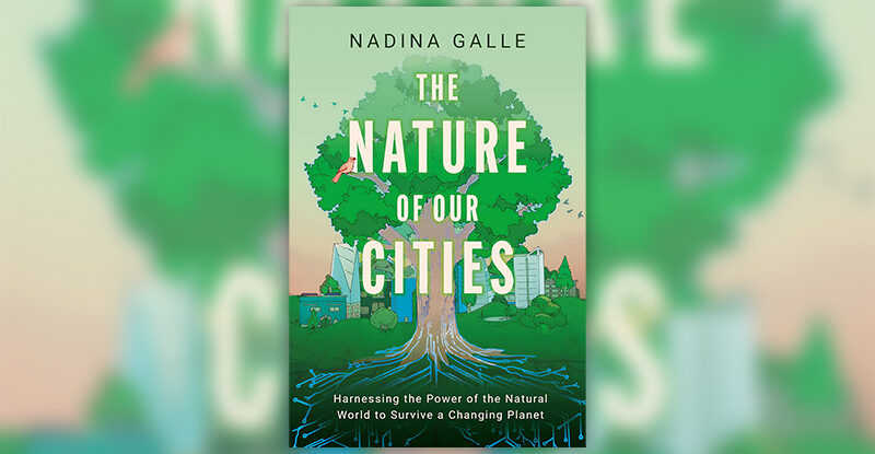 The nature of our cities