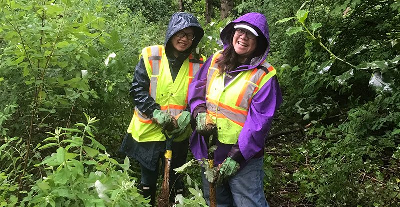 How municipalities can empower community-led park stewardship